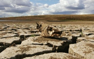 В Крыму из-за засухи пересохли реки
