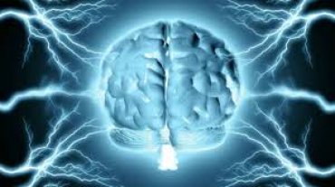 Ученые: когнитивные способности достигают пика в 35 лет