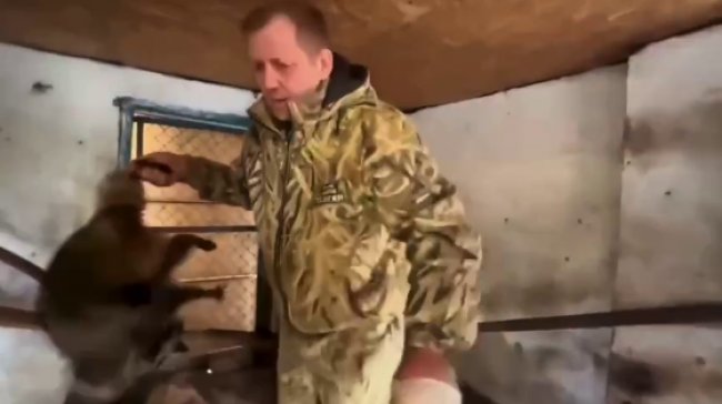 Енота и других животных из зоопарка Херсона украло российское военное командование: их вывезли в Крым