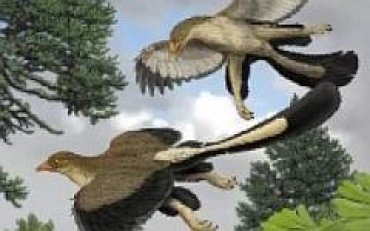 Ученые решили выяснить, как динозавры превратились в птиц