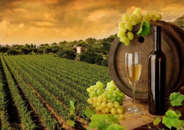 Украина готова увеличить объемы экспорта вина в КНР