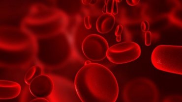 Ученые создают искусственную кровь