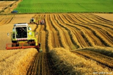 Украина вошла в тройку лидеров по экспорту аграрной продукции