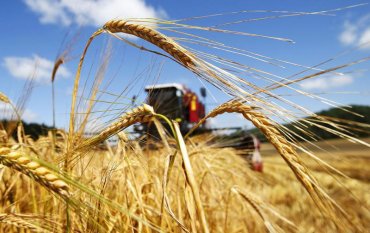 Украина отказалась от партнерства с Россией в аграрной сфере – Минагропрод