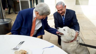 Собака премьера Израиля покусала гостей на праздновании Хануки