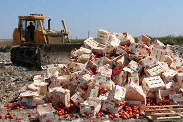 В России торжественно уничтожили 57 тонн яблок и киви из Беларуси