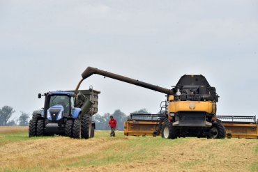 В агросекторе Украины впервые за последние годы спад производства