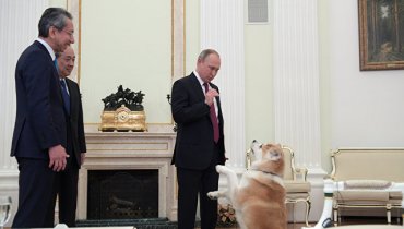 Путин привел на свое интервью строгую собаку Юмэ
