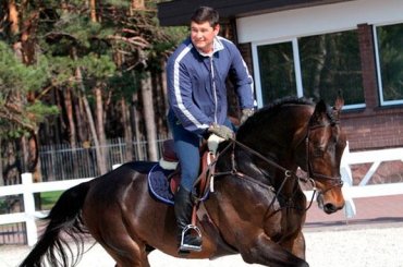 Лошади Онищенко нашлись в конном клубе под Киевом