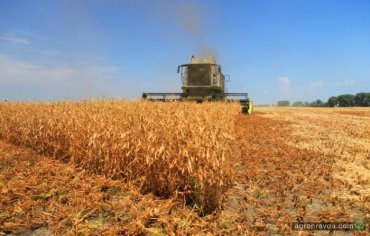 2016 г. стал рекордным по урожайности за всю историю Украины