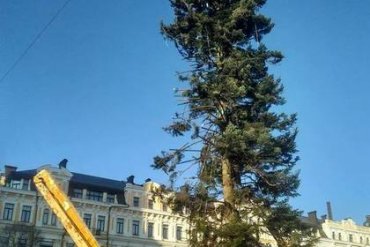 Почему «облысела» главная украинская елка