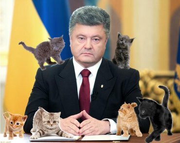 Пост Порошенко о котиках запустил флешмоб в соцсетях