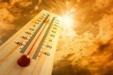 2019 год станет самым жарким в истории человечества — учёные