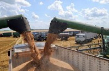Урожай зерновых в Украине впервые превысил 75 млн тонн