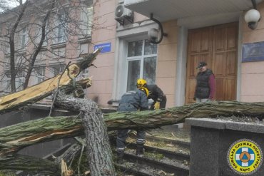 Спасатели показали жуткие последствия ледяного дождя в Киеве