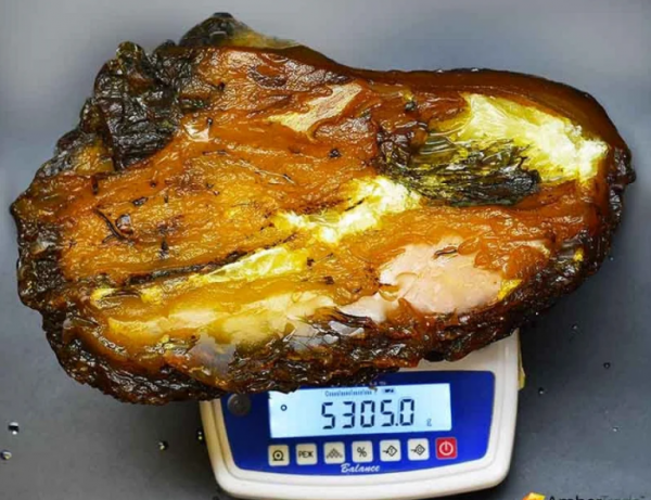 Найденный самородок янтаря  весит 5 кг 305 грамм