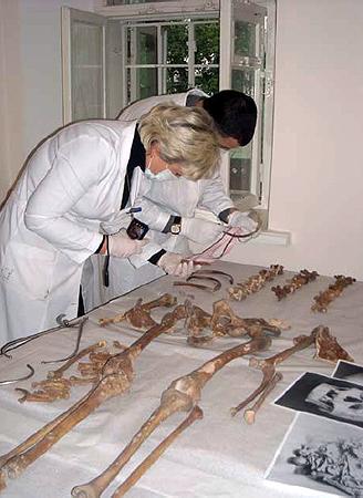 Кости из саркофага еще продолжают изучать. Фото предоставлено пресс-службой заповедника «София Киевская».