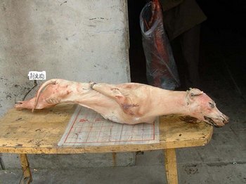 Китайцам запретят есть собачатину. Фото: 21food.cn