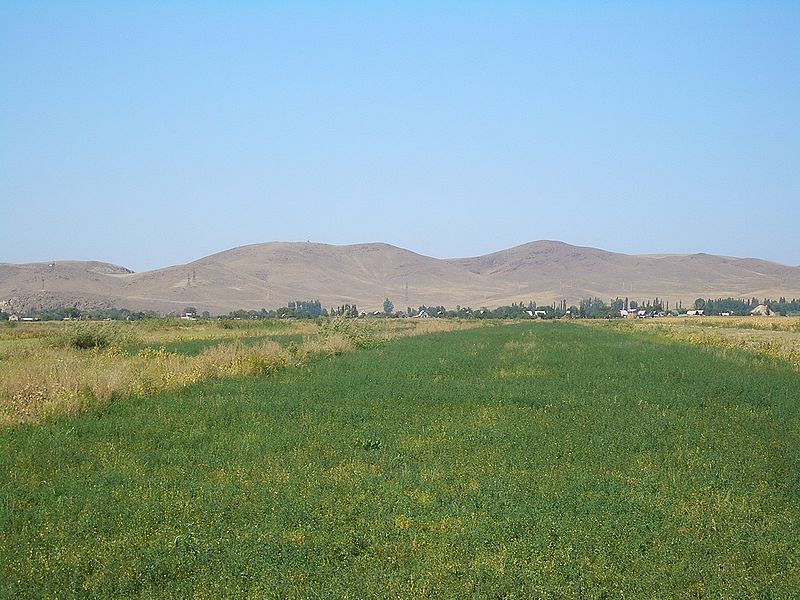 Файл:E7993-Milyanfan-fields.jpg