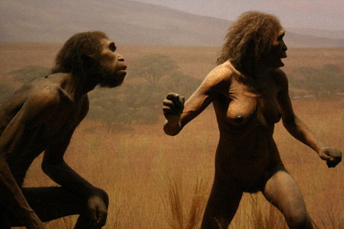 Вши подсказали, что правильнее предков изображать без шерсти на теле