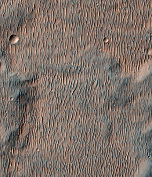 Дно марсианского озера, покрытое илом