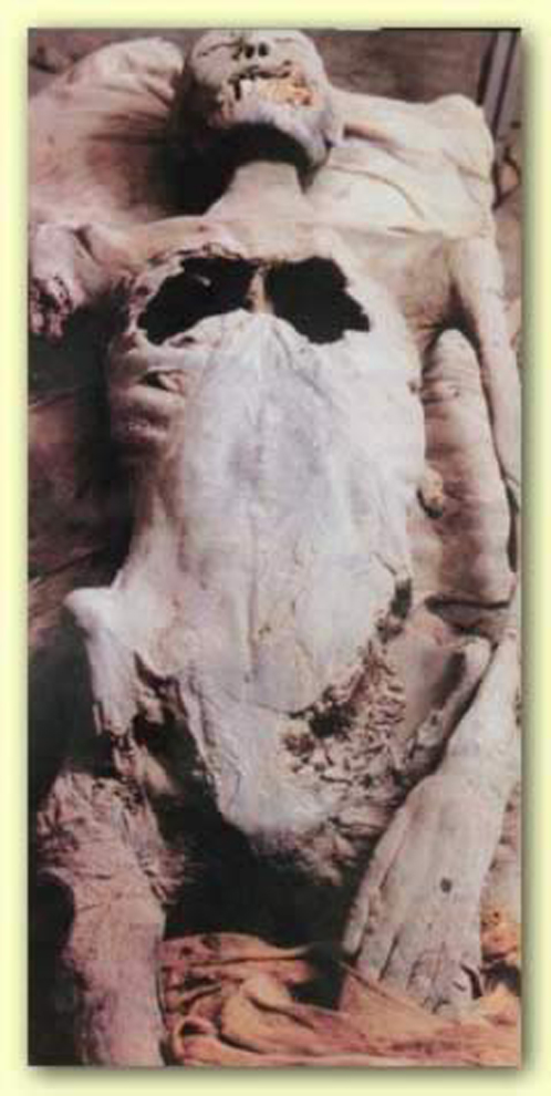 Тпк выглядит младшая мумия, которую исследовала Флетчер
