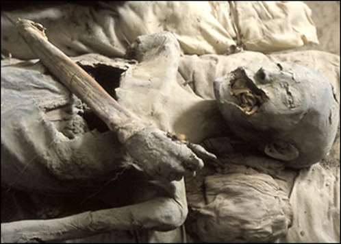 Флетчер полагает, что младшая мумия - вылитая Нефертити