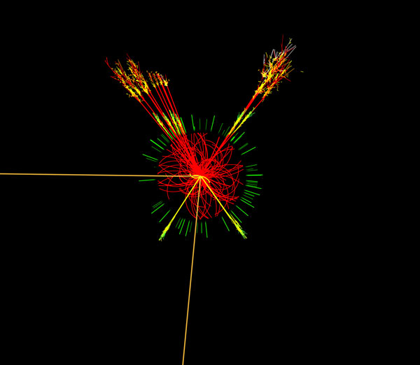 Смоделированное в компьютере рождение хиггсковского бозона