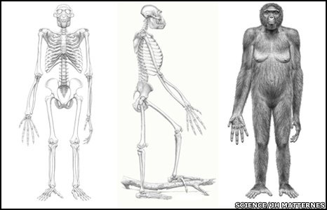Древнейшией из найденных предков человека